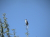 DSC09659